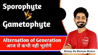 Alternation of generation in hindi  Sporophyte and Gametophyte in hindi  By Bioaman Bhaiya [upl. by Pollard705]