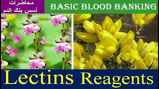 Lecture 41 Lectins Reagents [upl. by Mathur]