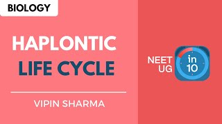 Haplontic Life Cycle  NEET Biology  NEET UG in 10 [upl. by Azpurua691]