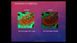 Confocal Laser Scanning Microscope [upl. by Sueddaht808]