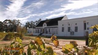 Stellenbosch Lodge Accommodation in Stellenbosch South Africa  Africa Travel Channel [upl. by Annaear]