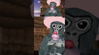 Gorilla tag Omegle shenanigans gorillatag vr omegle [upl. by Anayi]