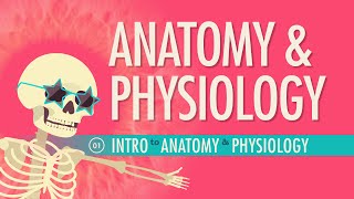 Introduction to Anatomy amp Physiology Crash Course Anatomy amp Physiology 1 [upl. by Skip]