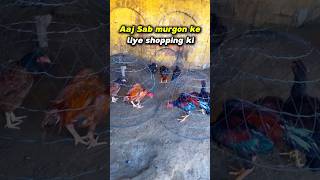 Aaj San murgon ke liya shopping ki😱🐓shorts youtubeshorts [upl. by Dublin]