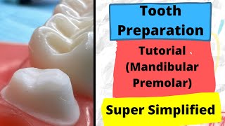 Crown Preparation TIPS and TRICKS  Mandibular Premolar Zirconia crown [upl. by Hime492]