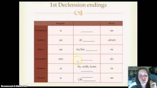 Ch 2 1st Declension NounsFeminine Adjectives [upl. by Miran]