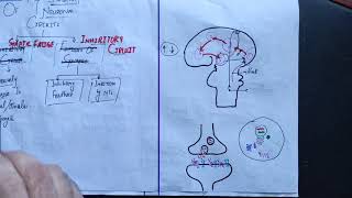 Neurophysiology guyton 47 last part Stability of neuronal circuitsmechanismneurosciencesmbbs [upl. by Annahsor]