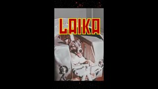 El sacrificio de Laika la perrita espacial [upl. by Pedrick963]