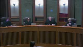 Larson v Gannett Company  Minnesota Supreme Court Oral Argument [upl. by Alegnaoj]