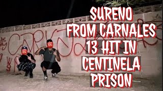 SURENO WENT TO PRISON FOR THESE CHARGES😳🫢AND WAS HIT IN CENTINELA PRISON trending crimestory [upl. by Rosol772]