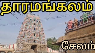 Tharamangalam தாரமங்கலம் கைலாசநாதர் திருக்கோவில் [upl. by Wein]