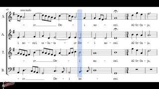 Choir chór Viderunt omnes fines terrae  M Zieleński  Soprano  score [upl. by Reilly]