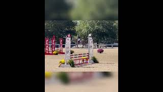 Strawman Show Jumping TB makeover prelims 2024 [upl. by Lust311]