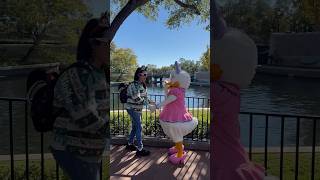 Daisy Duck Meet and Greet Epcot disney disneychristmas disneycharacter epcot [upl. by Joeann212]