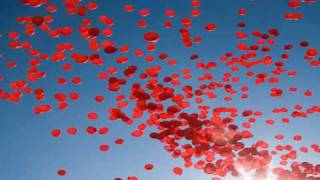 MySings NenaGoldfinger  99 Red Balloons [upl. by Solegna]