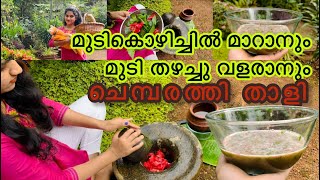 🔴Chembarathi thali for faster hair growth 🔥Anti dandruff 💯 Natural Home made Shampoo Malayalam [upl. by Marlene]