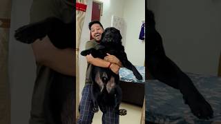 My Dog Hates Bath trending lucky doglover [upl. by Baras]