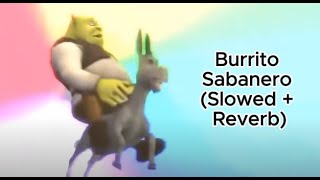 Burrito Sabanero Slowed  Reverb [upl. by Rutledge]