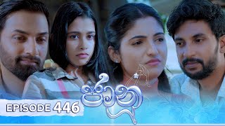 Jaanu  Episode 446  20241108  ITN [upl. by Soll]