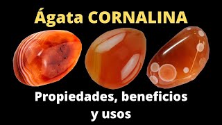 💎 Ágata Cornalina piedra  Propiedades Variedades y Usos del mineral [upl. by Yrdnal]