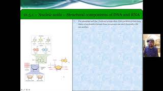 Chapter 21 Biochemistry  Nucleic acids amp Minerals of biological significance [upl. by Narat]