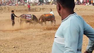 turak gorada 🆚 shetan bodrali dangal mee ❤️🔫😈 [upl. by Aneev]