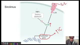 Sirolimus [upl. by Blockus]