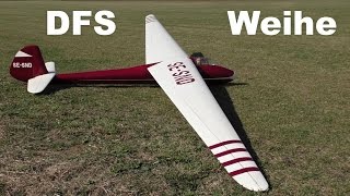 DFS Weihe scale RC glider 2017 [upl. by Sivat]