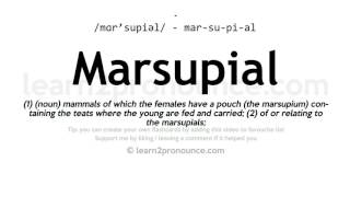 Pronunciation of Marsupial  Definition of Marsupial [upl. by Fishman602]