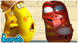 Attractive Slices of Food  Larva New Episode 2024  Cartoon Movie  The ENTIRE Story of Larva [upl. by Raphaela]