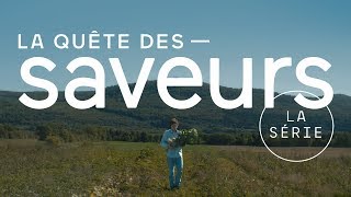 É02  Charlevoix  La quête des saveurs avec le chef Jean Imbert [upl. by Akeenat851]