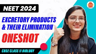 Excretory Products and their Elimination in One Shot  CBSE Class 11 Biology  NEET 2024 [upl. by Amory224]