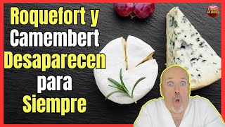 🔴 ¿LOS QUESOS ROQUEFORT Y CAMEMBERT DESAPARECERAN PARA SIEMPRE EN DOS AÑOS 🔴 [upl. by Ettenawtna]