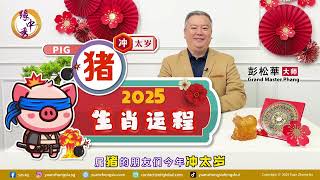 2025 Pig Zodiac Forecast 生肖属猪运程 by Grand Master Hillary Phang [upl. by Atwater]