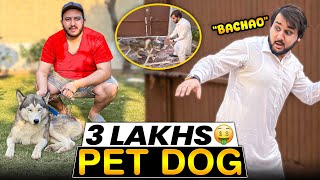 Rs 3 Lac ka new pet dog le aya😍 Musa dog se dar k ghar se bhag gya😂 [upl. by Jeffers580]