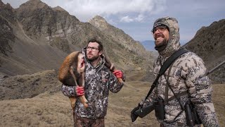 CHASSE À LISARD DANS LES PYRÉNÉES [upl. by Ybsorc565]