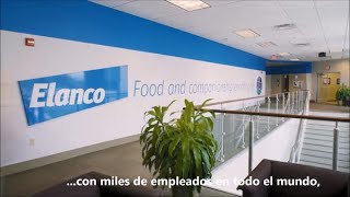 Elanco Corporate video  Spanish with subtitles [upl. by Beane]