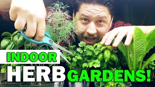 Indoor Herb Gardens  The Definitive Guide For Beginners [upl. by Leahcar626]