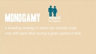 Monogamy [upl. by Vivien]