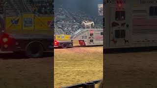 The one arm bandit John Payne  the 2024 Dixie National Rodeo rodeo horse [upl. by Foss]