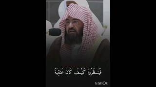 Surah muhammad  Shaikh sudais shorts shaikhsudais [upl. by Tennos481]