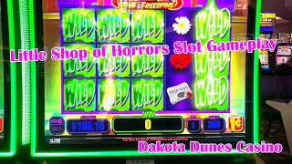 Little Shop of Horrors Slot Gameplay  Dakota Dunes Casino siga dakotadunes slot gambling [upl. by Nallad209]