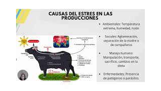 producciones pecuarias y aspectos fisiológicos e anatómicos [upl. by Sarette77]