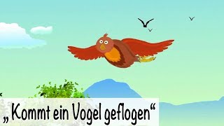 🎵 Kommt ein Vogel geflogen  Kinderlieder deutsch  Frühlingslieder  muenchenmedia [upl. by Elisa]