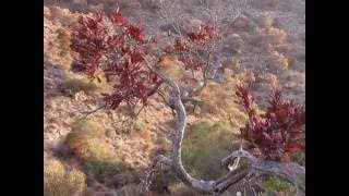 Autumn in Stavros Crete [upl. by Joy]