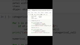 Interview Question  How to Separate Categorical amp Numerical Columns in Data  Data Science Tutorial [upl. by Auhsohey]