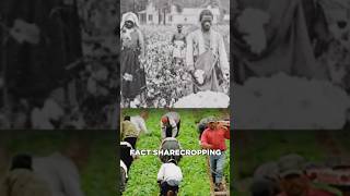 Remember what happened over 60 years ago Sharecropping ended Its the same as slavery [upl. by Eybba]