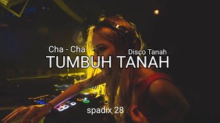 TUMBUH TANAH  SPADIX 28 REMIX CHA CHA DISTAN [upl. by Morgenthaler]