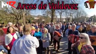 Roda das Concertinas Arcos de Valdevez [upl. by Dnomyaw238]