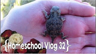 Hiking at Papas House ║ Hang Out with This Homeschool Mom of 8 │ School Week 32 [upl. by Herald]